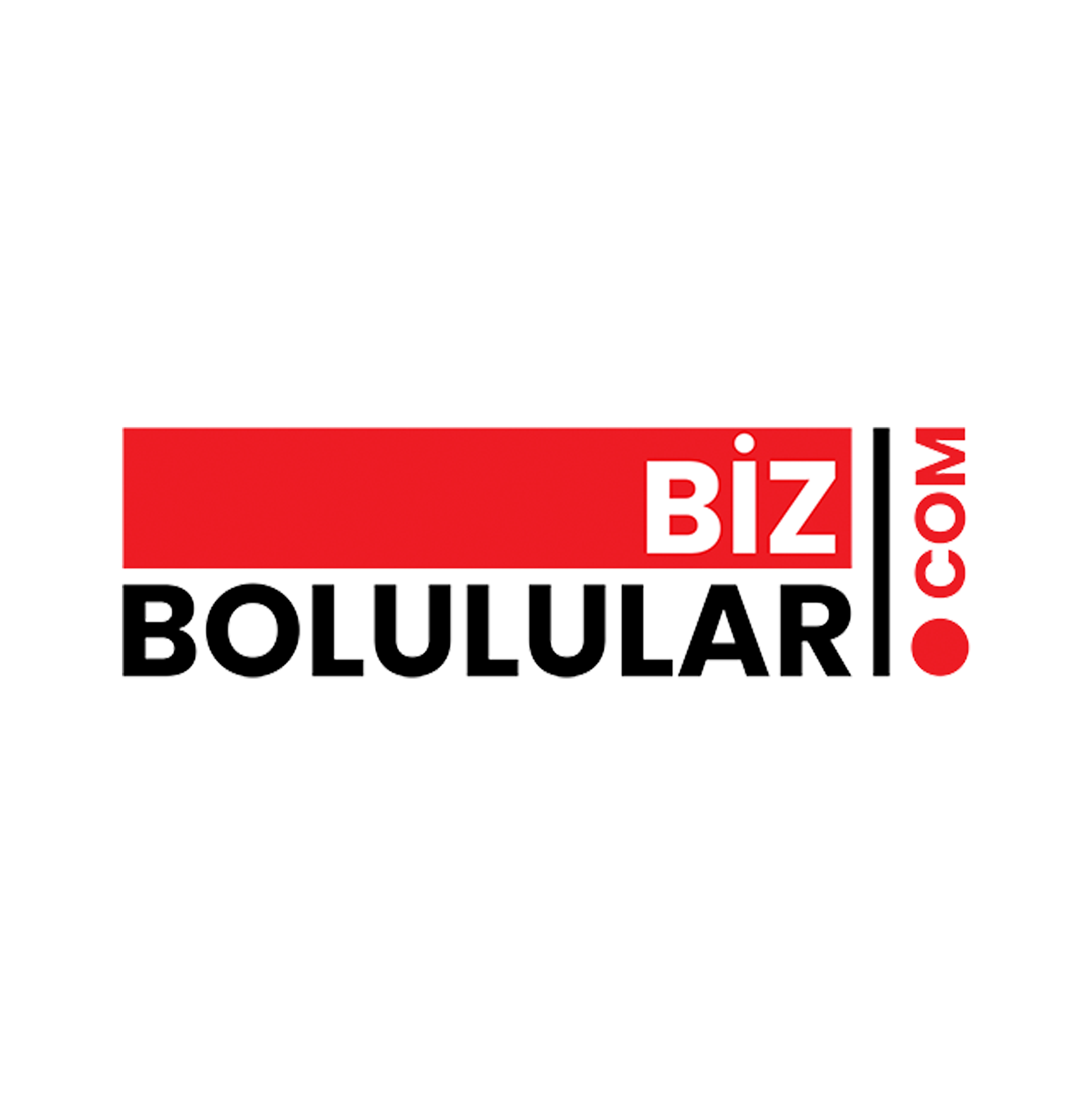 Bizbolulular.com